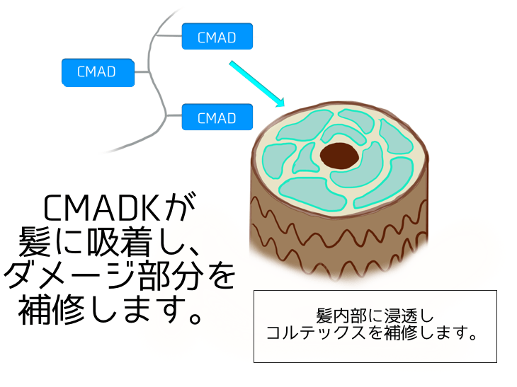 CMADK